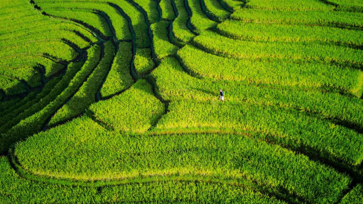 Terraform — ลึกซึ้ง ตอน 2