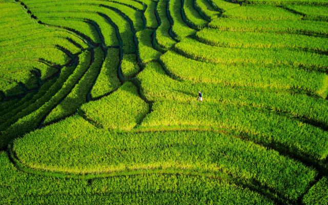 Terraform — ลึกซึ้ง ตอน 2