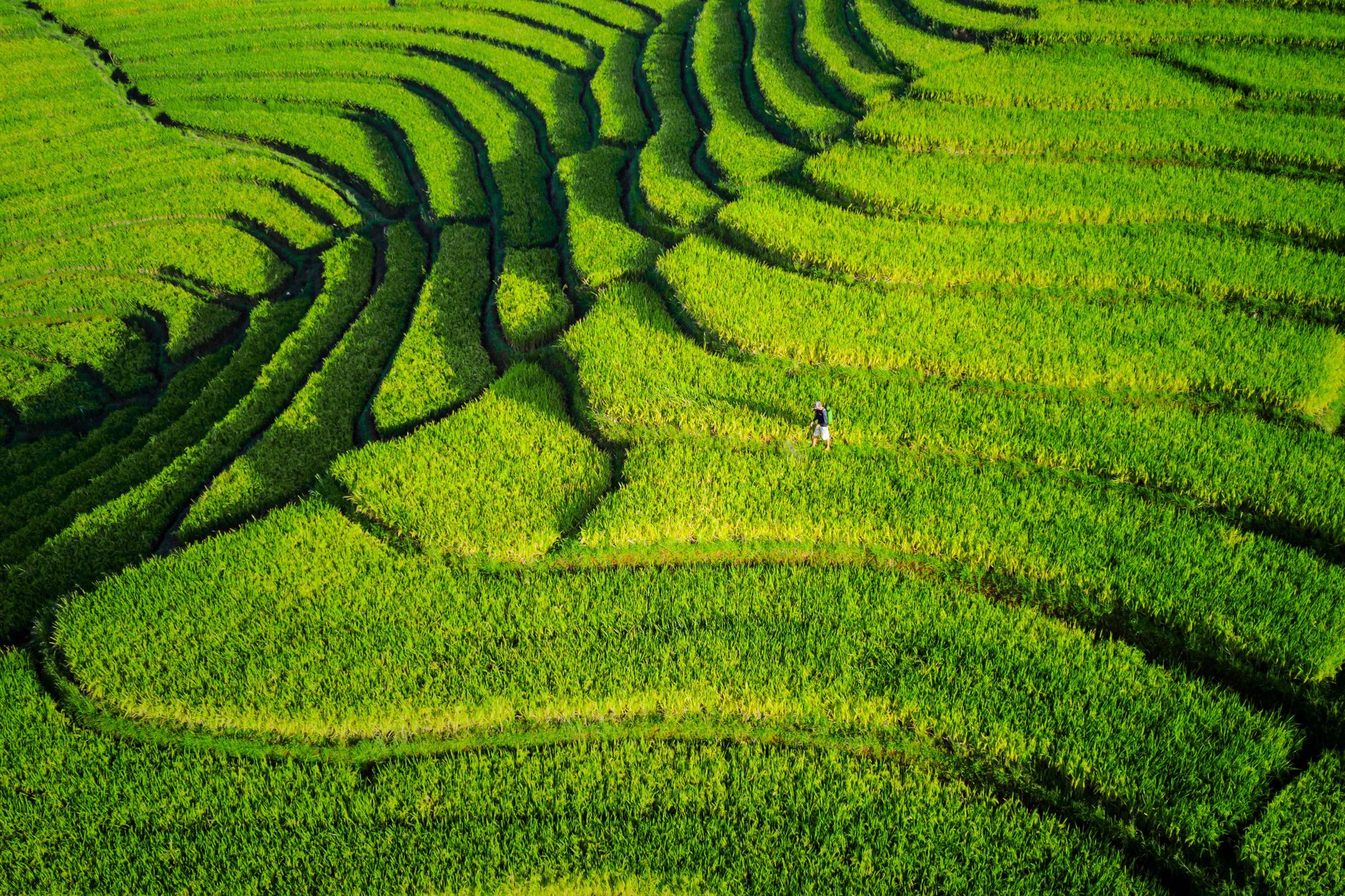 Terraform — ลึกซึ้ง ตอน 2
