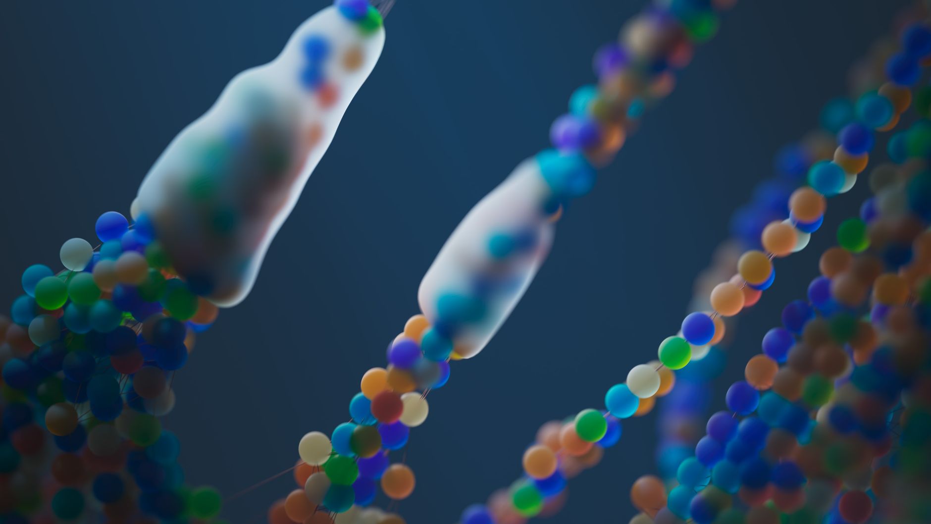 ตับที่บริจาคสามารถทำให้มีอายุน้อยลงได้