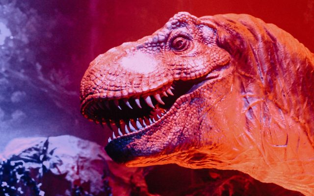 ฟันของ T. rex บ่งชี้ว่ามันมีอุณหภูมิร่างกายใกล้เคียงกับช้าง