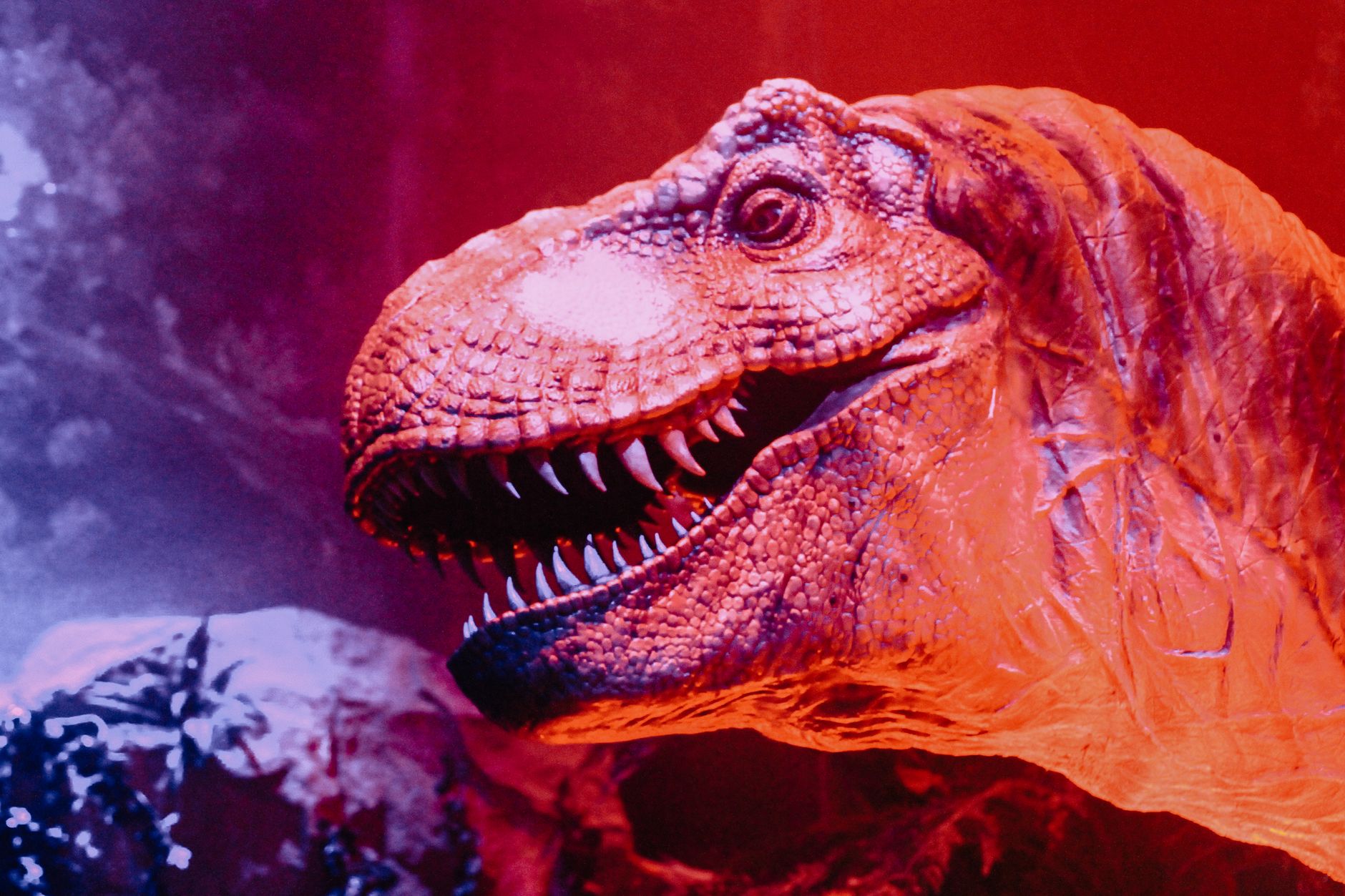 ฟันของ T. rex บ่งชี้ว่ามันมีอุณหภูมิร่างกายใกล้เคียงกับช้าง