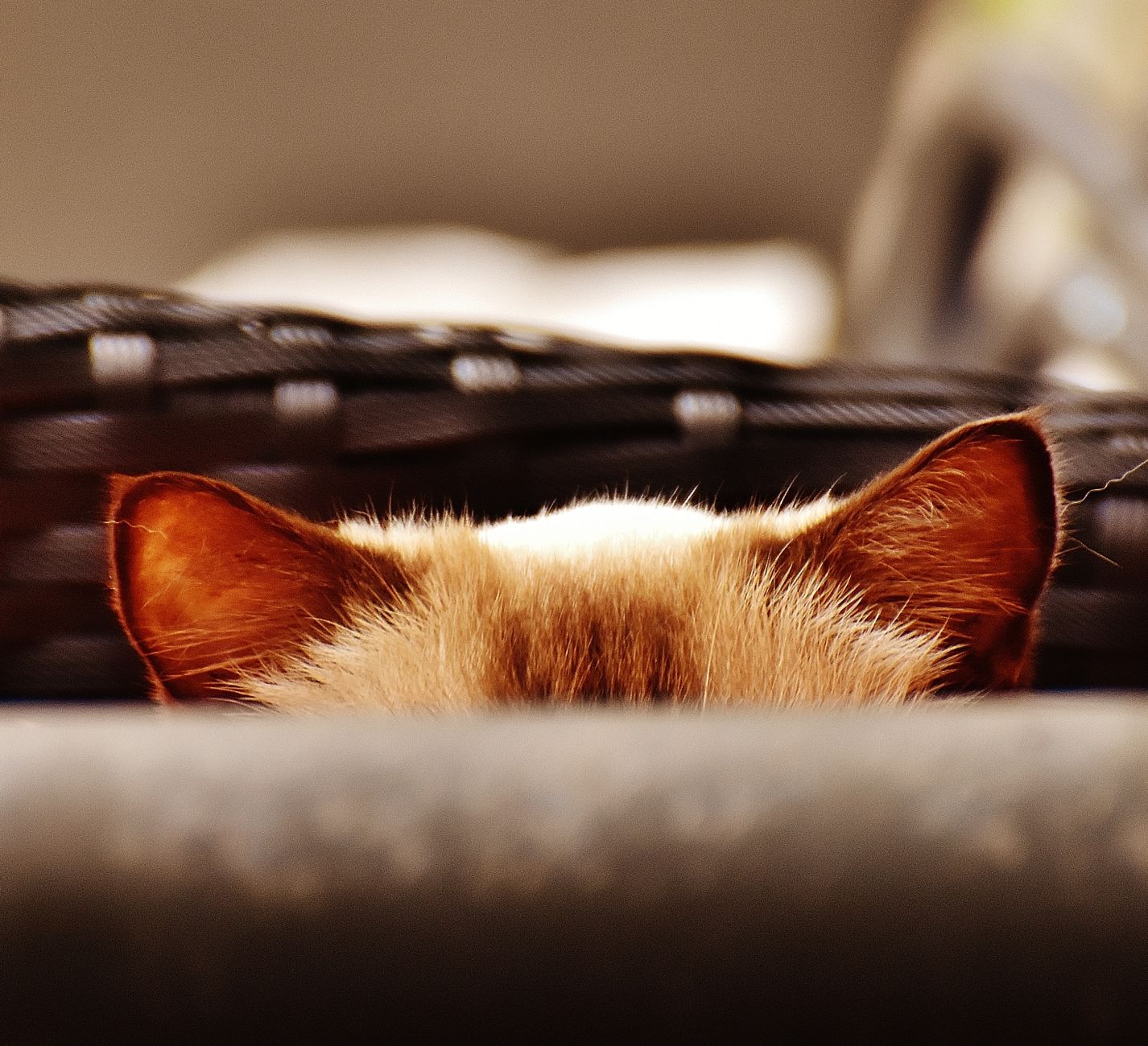 ประวัติ DHCP Snooping — ลึกซึ้ง ตอน 3